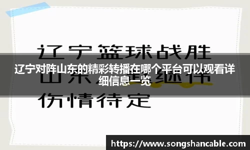辽宁对阵山东的精彩转播在哪个平台可以观看详细信息一览